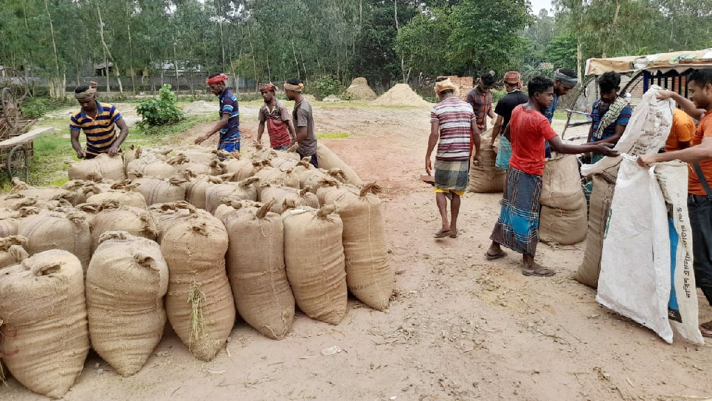 ধানের দামে হতাশ কৃষক