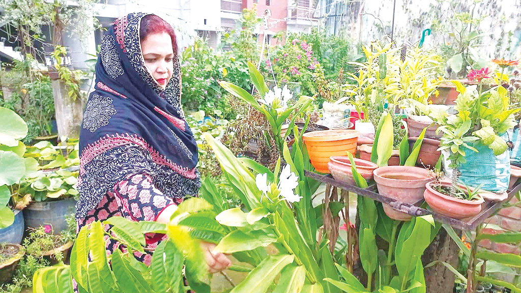 ছাদবাগান করে পাচ্ছেন প্রধানমন্ত্রীর পুরস্কার