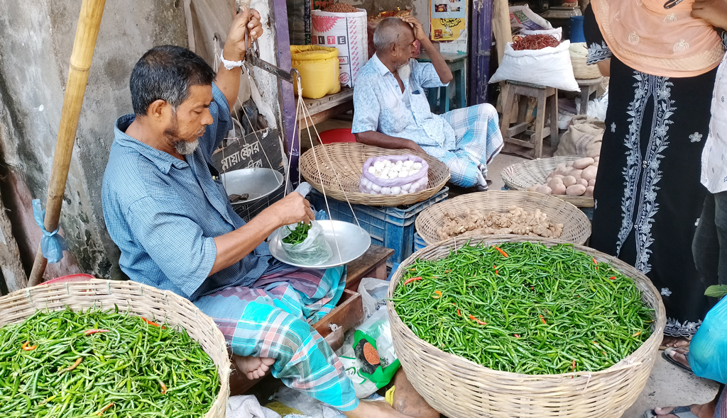 যশোরে কাঁচা মরিচের দাম কেজিতে কমল ৩৫০ টাকা