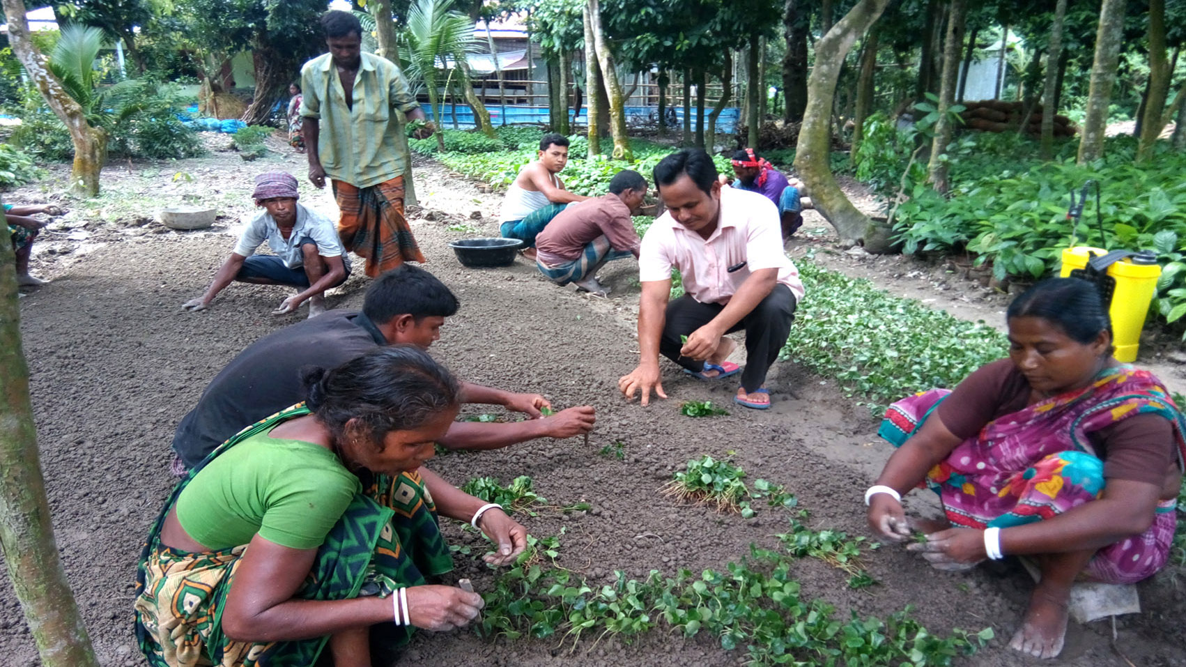 নার্সারিতে গ্রামের চিত্র বদল