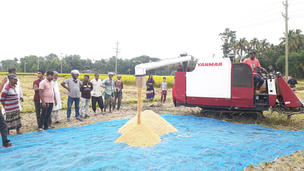 বিনা মূল্যে ৫০ একর জমির ধান কাটার উদ্বোধন