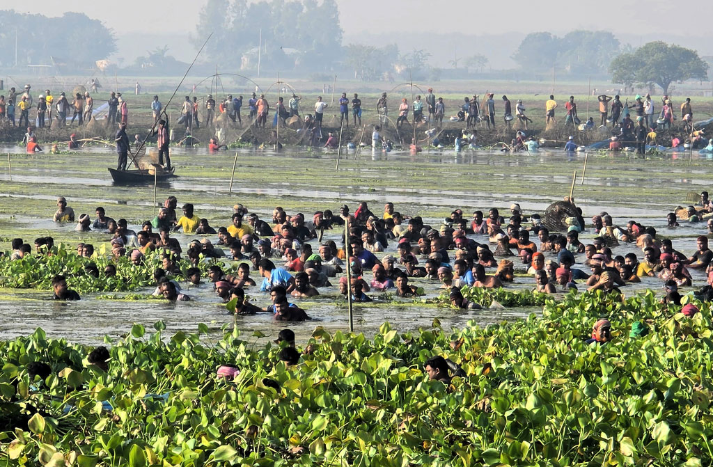 মাছের খোঁজে পাবনার রুহুল বিল চষে বেড়ান শিকারিরা।