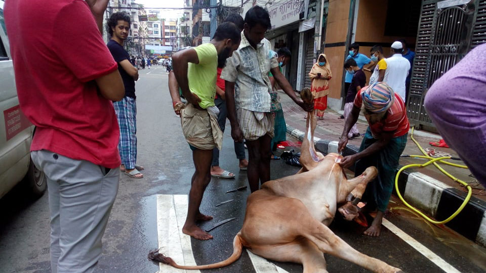 দ্বিতীয় দিনেও চলছে কোরবানি