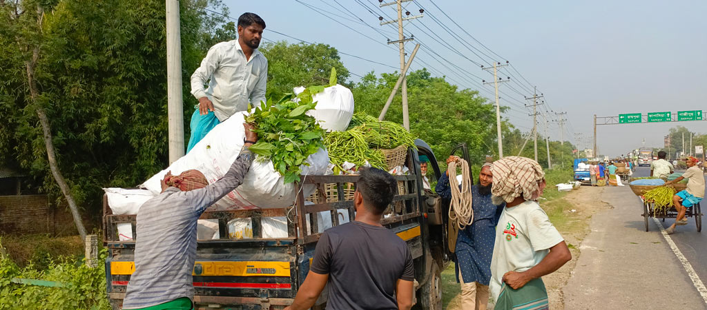 কৃষকদের কাছ থেকে সবজি কিনে মিনি ট্রাকে তুলছেন পাকাররা। এগুলো নিয়ে যাওয়া হবে বিভিন্ন বাজারে। বেলাবো উপজেলার বারৈচা ঢাকা-সিলেট মহাসড়কের পাশ থেকে তোলা, নরসিংদী, ২৩ মে ২০২৪। ছবি: হারুনূর রশিদ