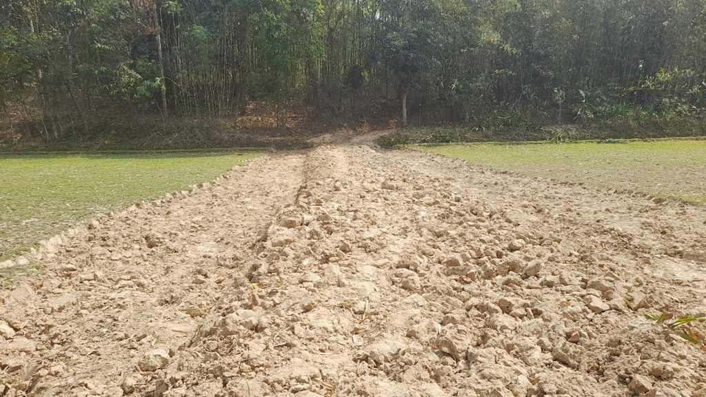 প্রতিবেশীর জমির ওপর রাস্তা নির্মাণ, ঘর ভাঙচুর