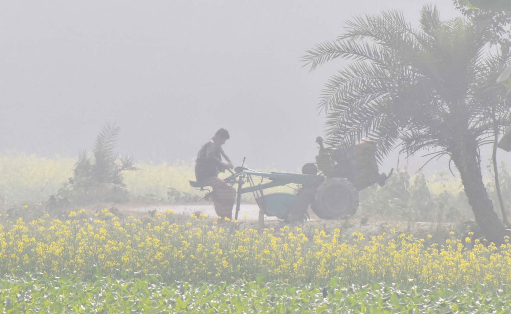 কুয়াশা ঢাকা সকালে নতুন আবাদের জন্য পাওয়া টিলার দিয়ে কাজ করছেন কৃষক। চারঘাট উপজেলার ইউসুফপুর ইউনিয়নের একটি মাঠ, ৬ ফেব্রুয়ারি ২০২৪। ছবি: মিলন শেখ