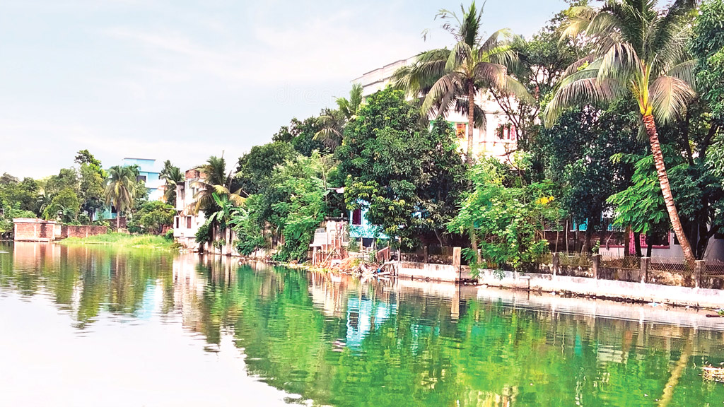 দিঘি কবে মরে যাবে জানবে না কেউ
