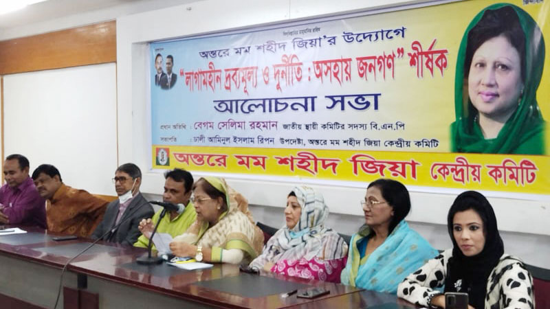 সরকারের পতন ছাড়া বিকল্প নেই: সেলিমা রহমান  