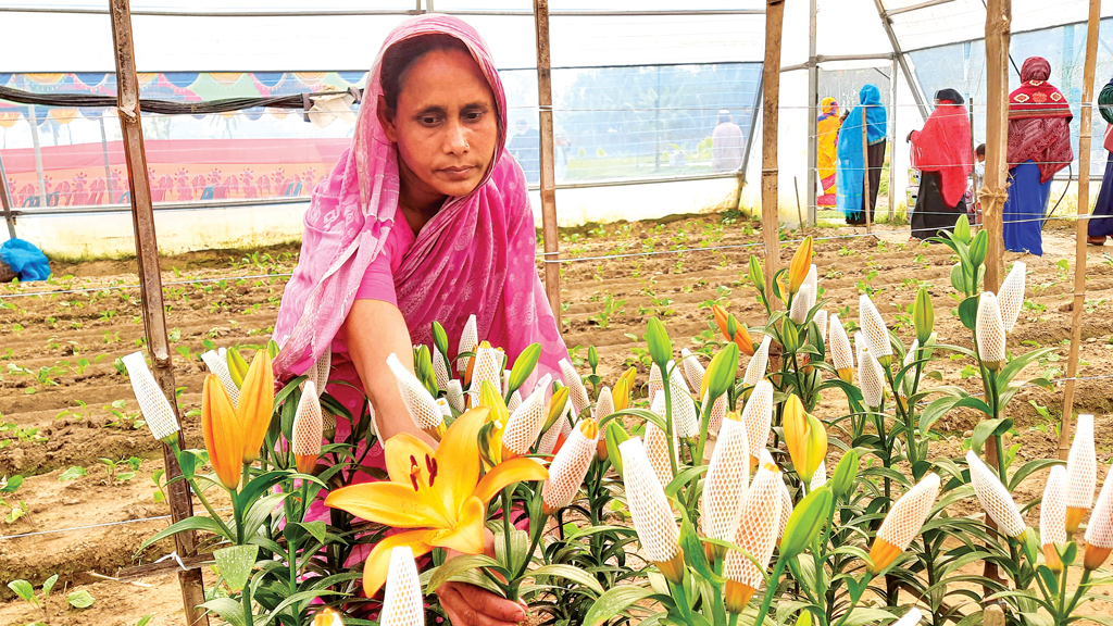 লিলিয়ামও ফুটল গদখালীতে