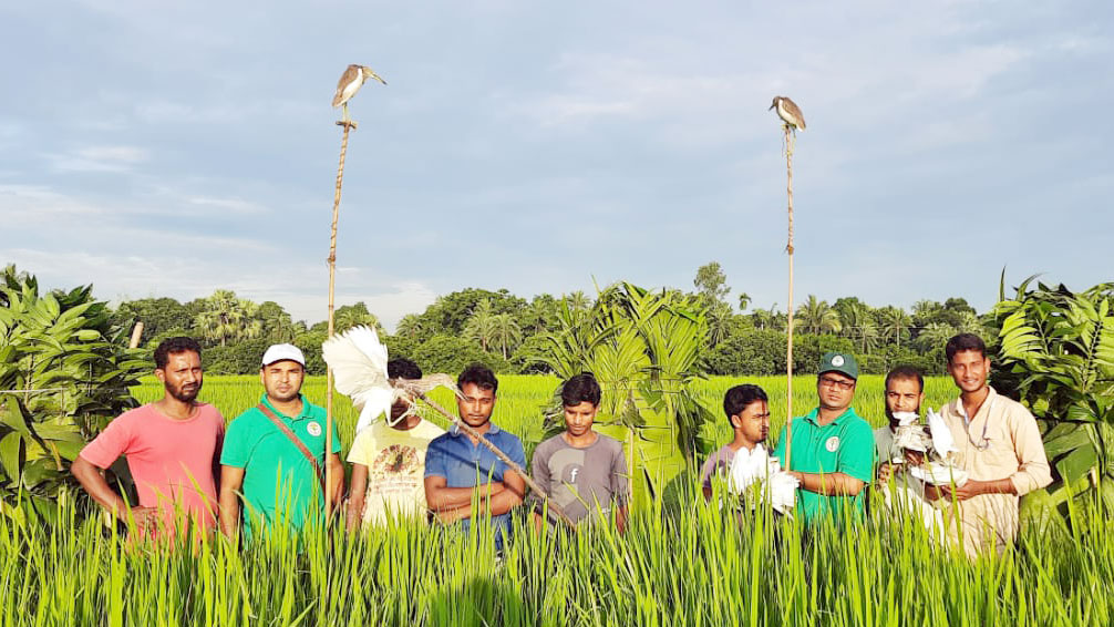 তিন বক শিকারি আটক জরিমানা