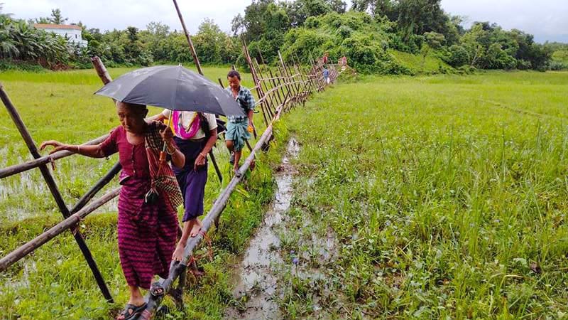 নুও পাড়ায় চলাচলের একমাত্র ভরসা সাঁকো