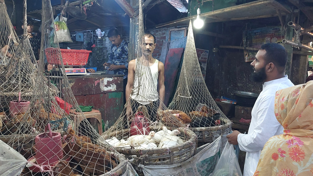 সপ্তাহের ব্যবধানে মুরগির দাম বেড়েছে ৮০ টাকা