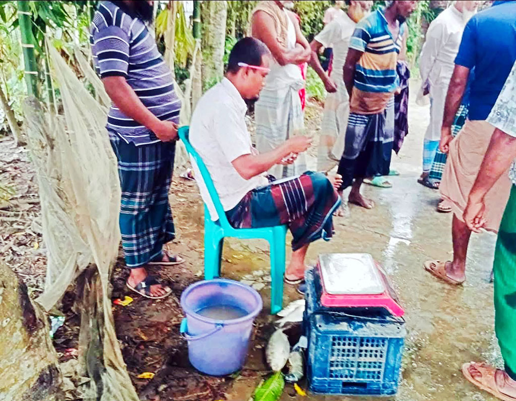 নিষেধাজ্ঞার মধ্যেও চলছে ইলিশ নিধন