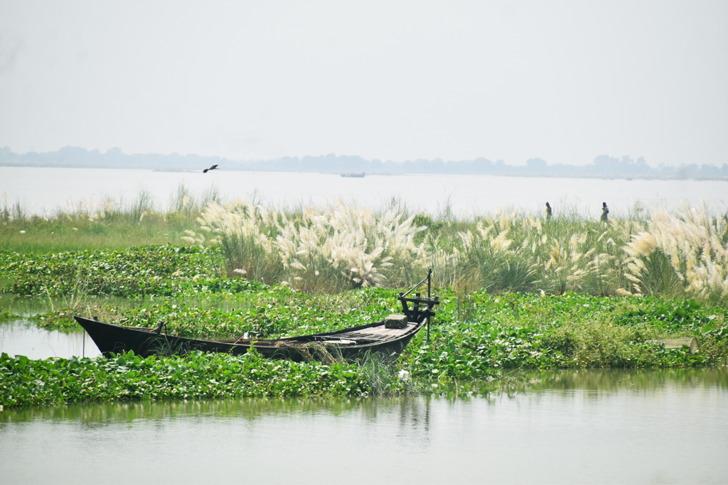 দিনের ছবি (২১ সেপ্টেম্বর, ২০২৪)