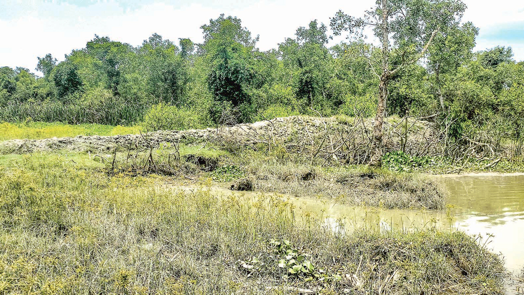 বনের জমি ও খাল ভাড়া দেন বিট কর্মকর্তা রওশন