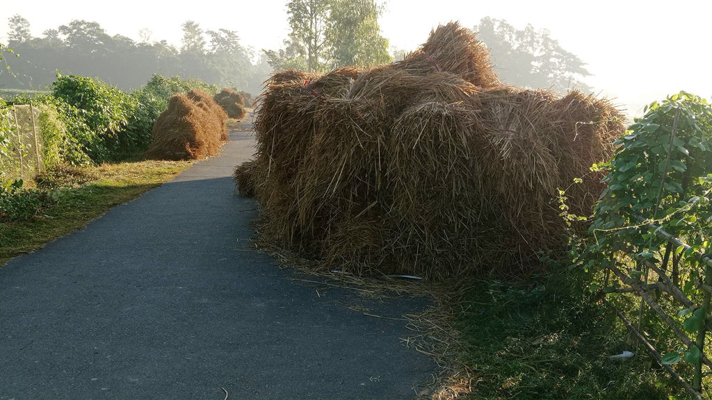 সড়কে ধানের খড়, ভোগান্তি