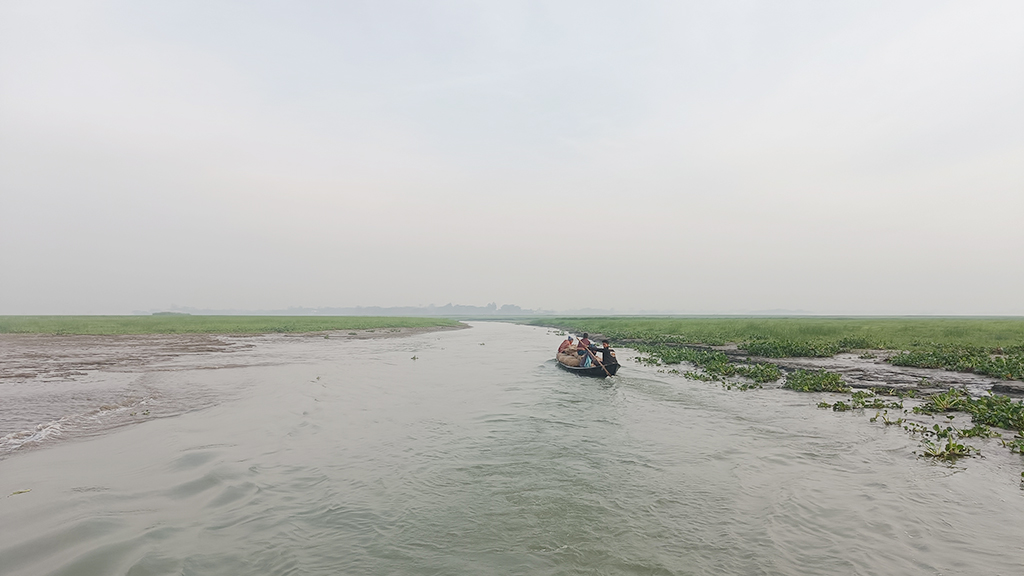 এক সময়ের খরস্রোতা বরই নদী পলি জমে নাব্য সংকটে এখন খালে রূপ নিয়েছে। পরিচিতি পেয়েছে মরাগাঙ নামে। নদীর সরাইল উপজেলার পাকশিমুল ইউনিয়নের বরইচারা গ্রামের পাশ দিয়ে প্রবাহিত অংশ, ব্রাহ্মণবাড়িয়া, ২৭ ফেব্রুয়ারি ২০২৪। ছবি: এম মনসুর আলী