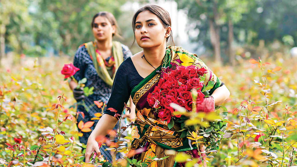 গোলাপ গ্রামের জীবনযুদ্ধের গল্প