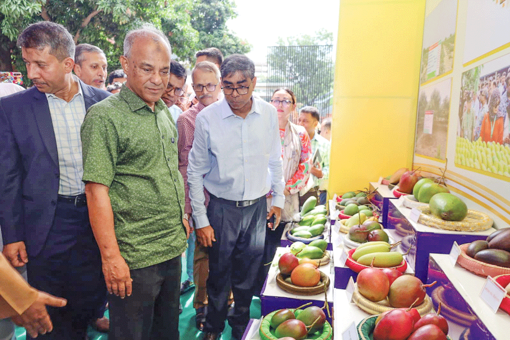যুক্তরাষ্ট্র, সৌদি আরবসহ পাঁচ দেশে ১৩ টন আম রপ্তানি