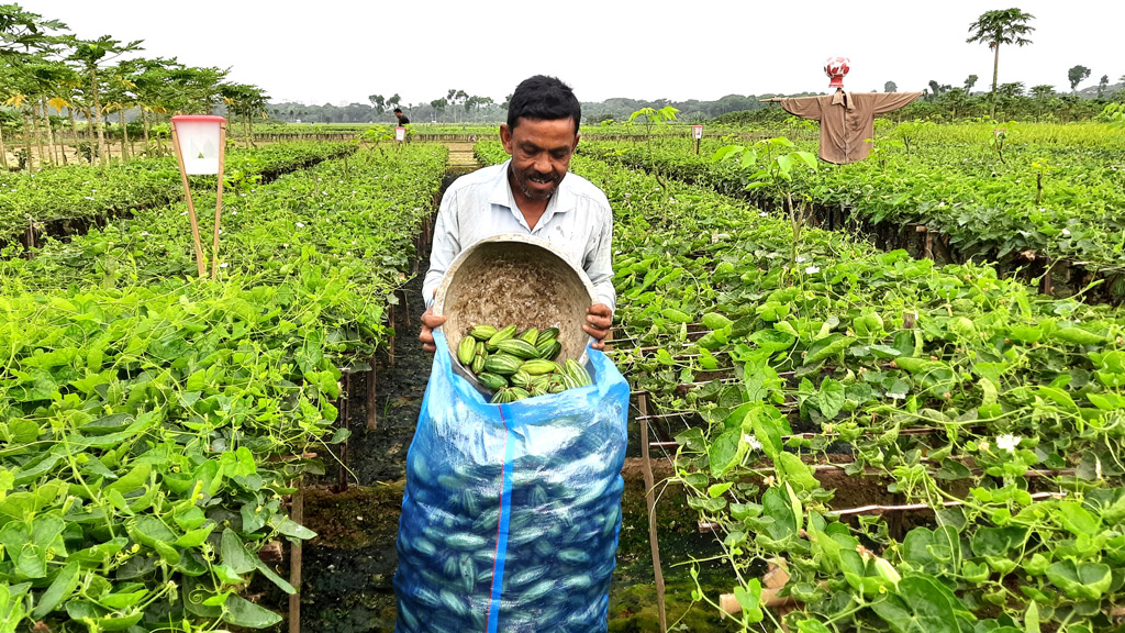 মুম্বাই পটোলে মুখে হাসি