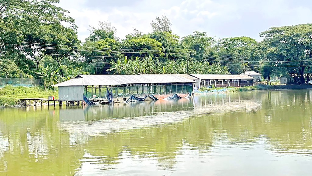 সমন্বিত খামারে ঝুঁকিতে জনস্বাস্থ্য ও পরিবেশ