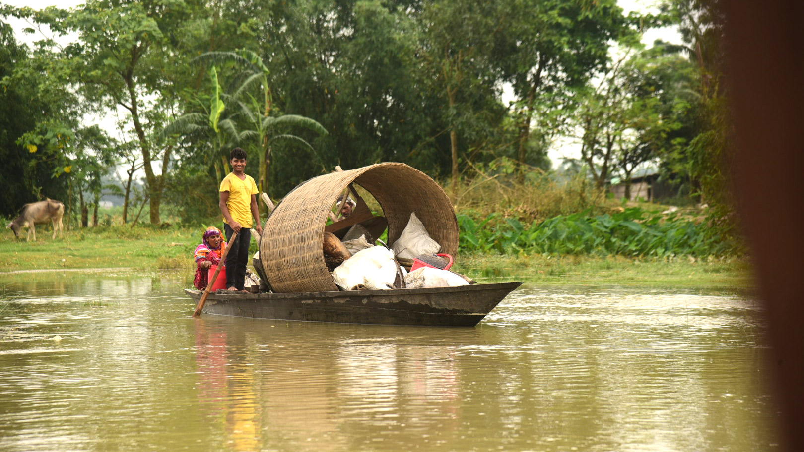 নদীগর্ভে বিলীন ২০ বাড়িঘর