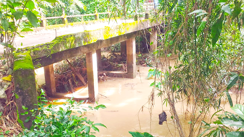 খাগড়াছড়ির রামগড়: অবরুদ্ধ খাল, পানিতে ডুবে নষ্ট হচ্ছে ফসল