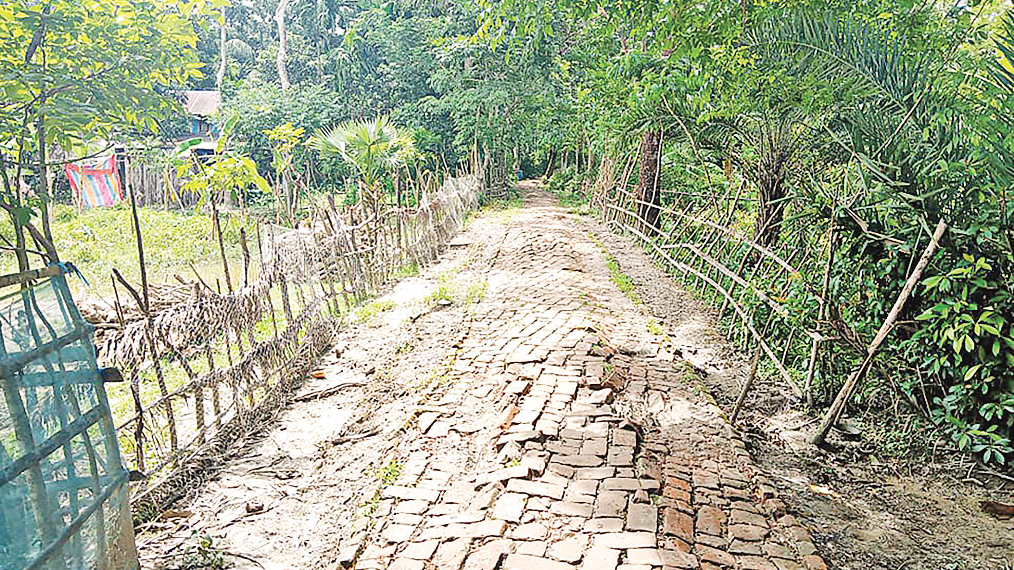 জল-বনের শান্ত জনপদ