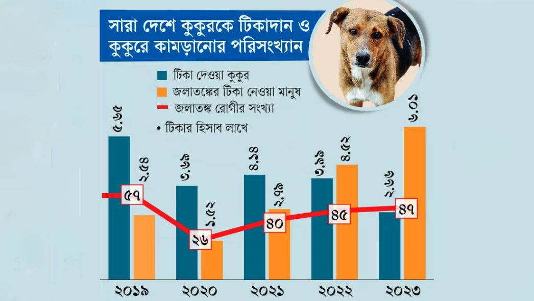 বেওয়ারিশ কুকুরের কামড় খাচ্ছে বছরে ৬ লাখ মানুষ