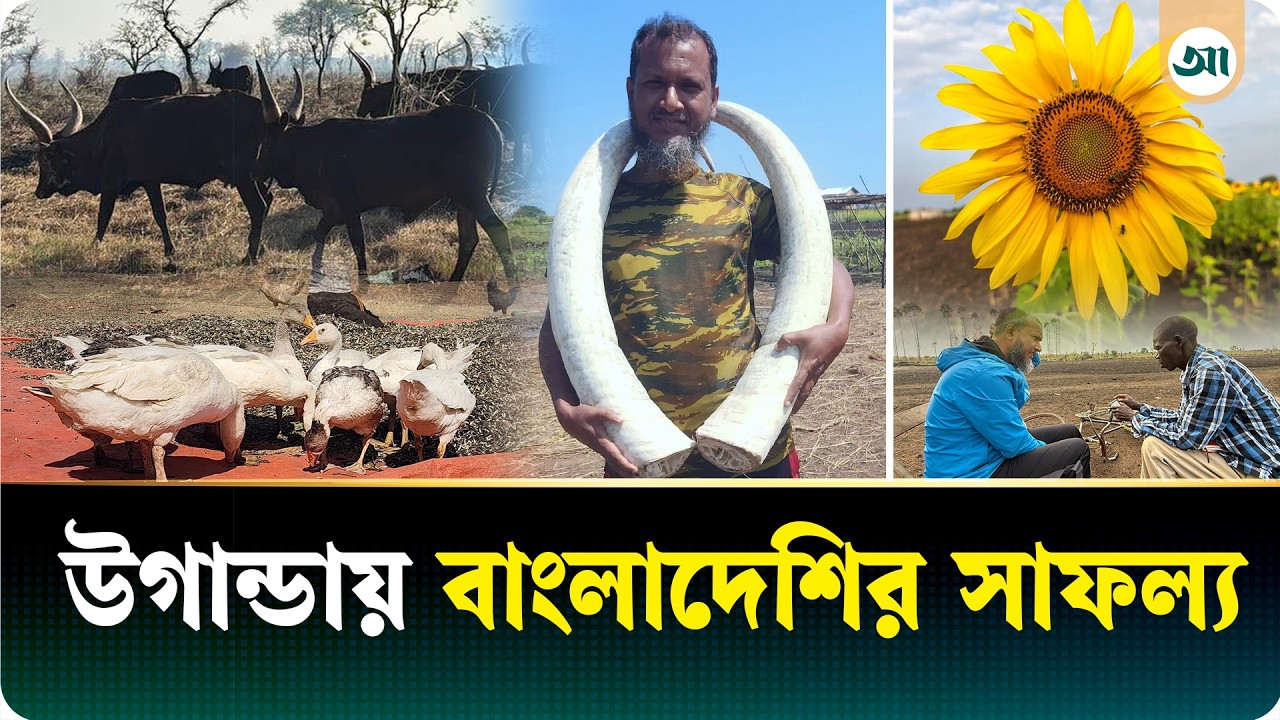 উগান্ডায় বাংলাদেশের জাহিদের সাড়ে পাঁচ হাজার একরের খামার