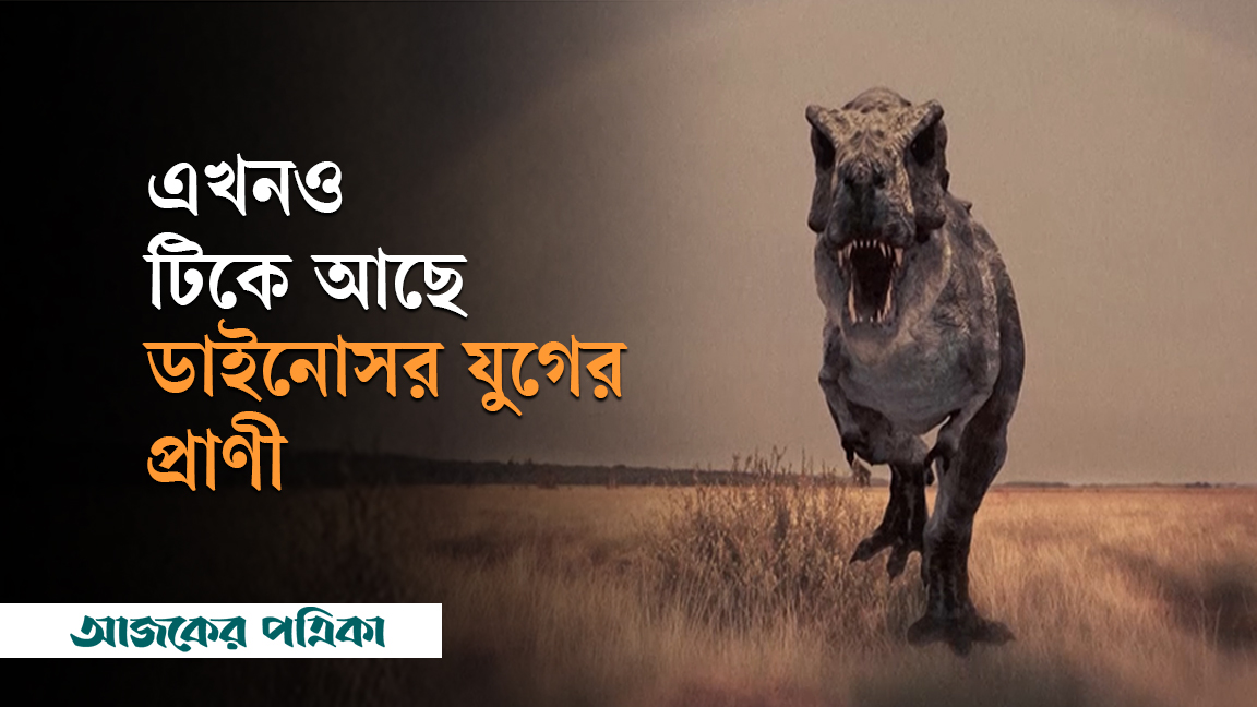 এখনও টিকে আছে ডাইনোসর যুগের প্রাণী