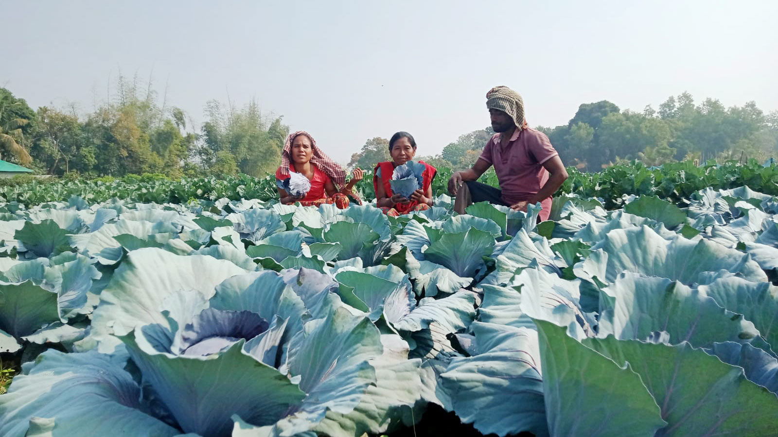 দিনের ছবি (২৬ জানুয়ারি, ২০২৩)