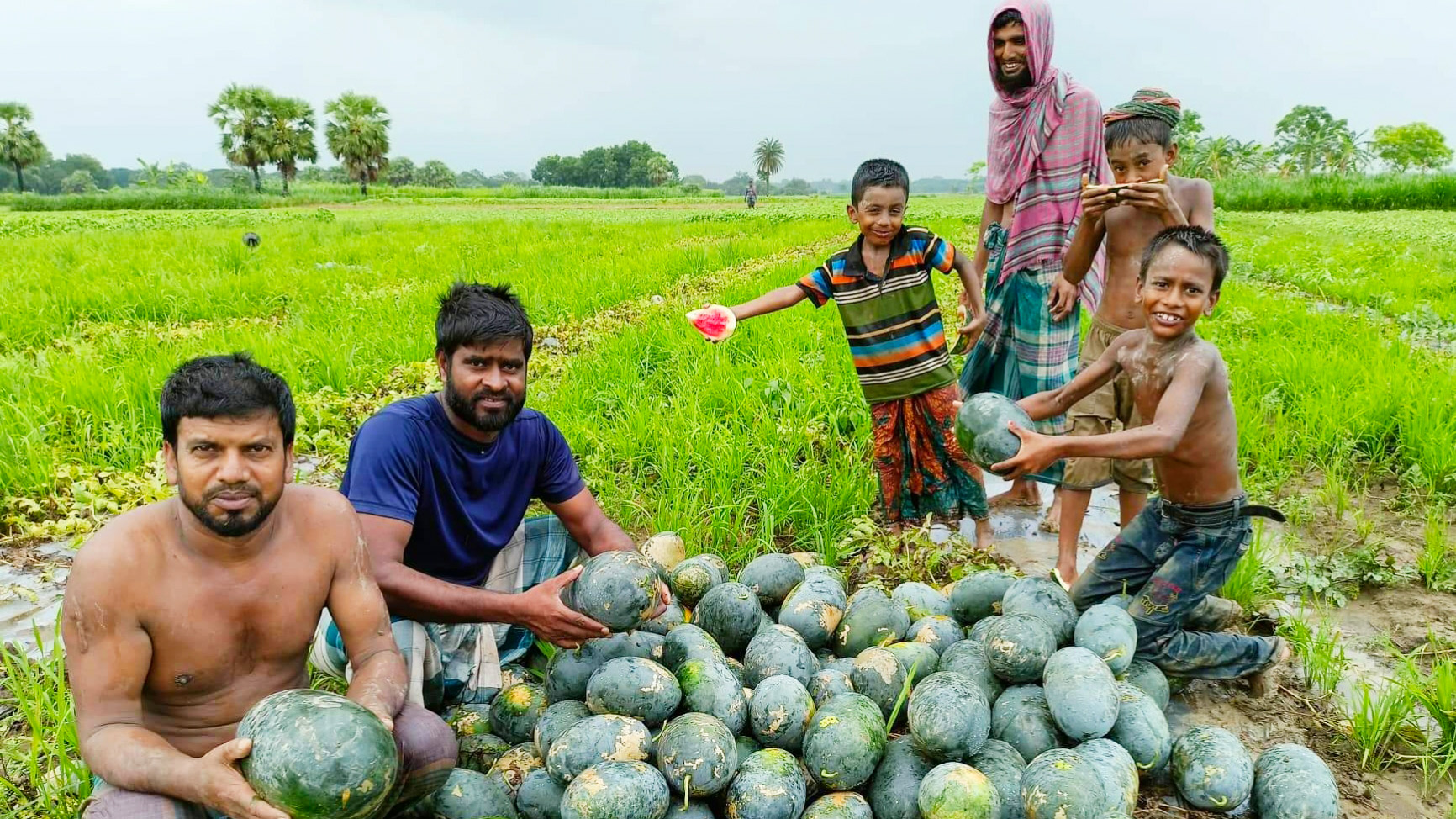 পতিত জমিতে তরমুজের হাসি