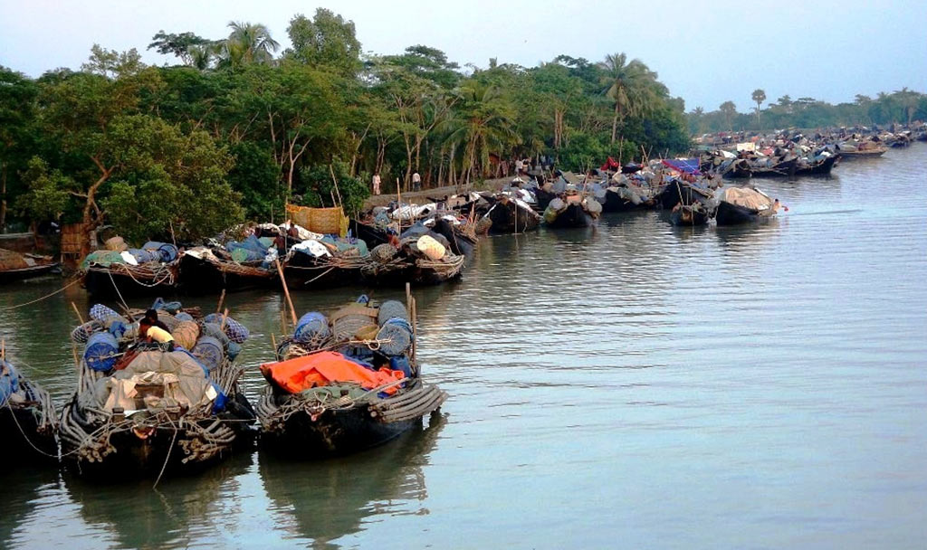 সুন্দরবনে দুবলার চরে শুঁটকি মৌসুম শুরু, রওনা দিচ্ছেন জেলেরা 