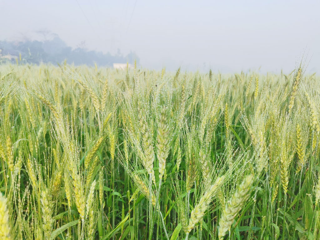 দিনের ছবি (১০ মার্চ, ২০২৩)