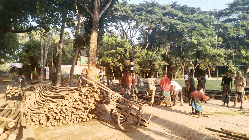 হারিয়ে যাচ্ছে বাঁশঝাড়