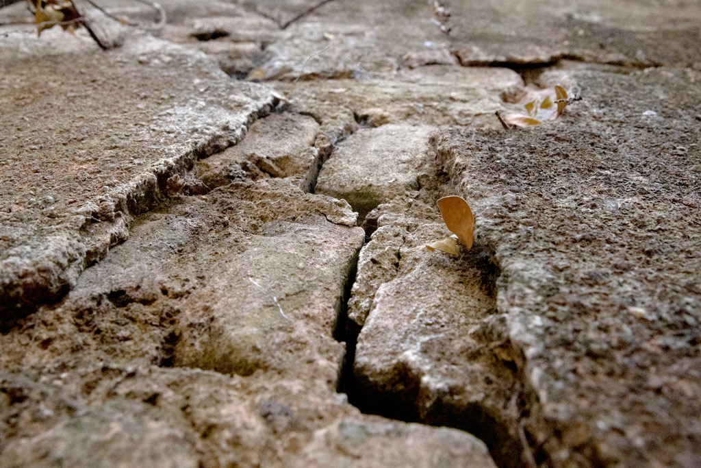 জমিদার বাড়ির অধিকাংশ ভবনের দেয়ালে এখন বড় বড় ফাটল।