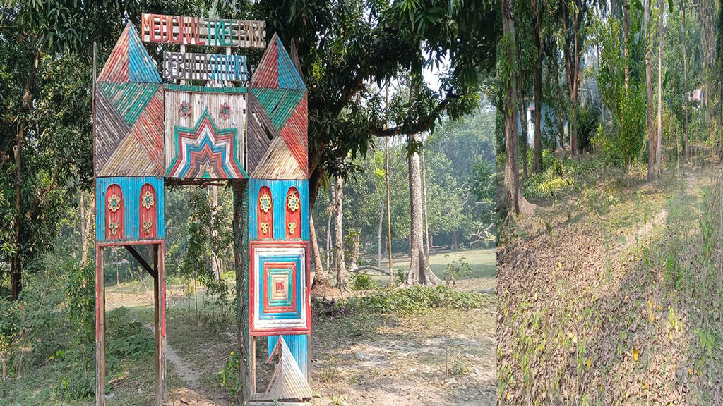 দেবহাটার সেই ঔষধি বাগানটি অযত্নে হারিয়ে যাচ্ছে