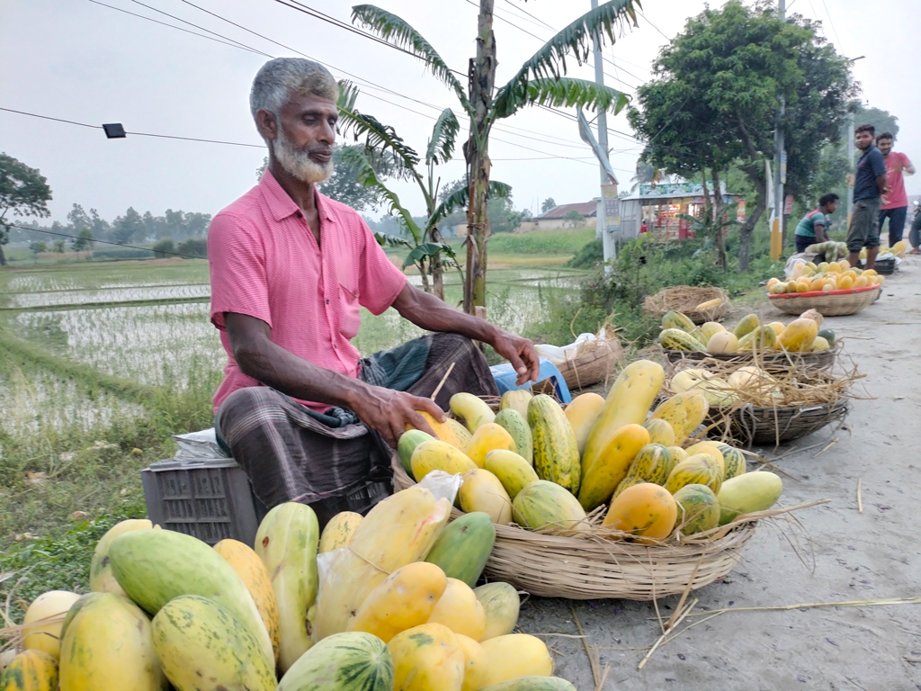 রংপুর-সৈয়দপুর মহাসড়কের পাশে খাঁচায় করে বাঙ্গির পোরশা সাজিয়ে বসেছেন কয়েকজন বিক্রেতা। রোববার রংপুর সদর দপ্তরের সামনে। ২১ মে ২০২৩। ছবি: আব্দুর রহিম পায়েল