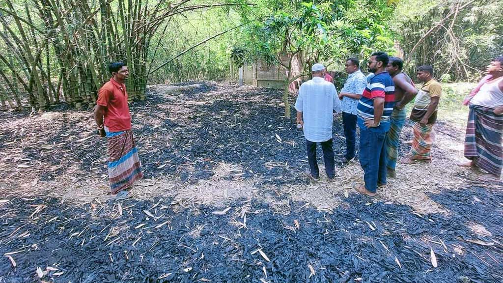 দুর্বৃত্তদের আগুনে পুড়ল কৃষকের ৪ একর বাঁশবাগান