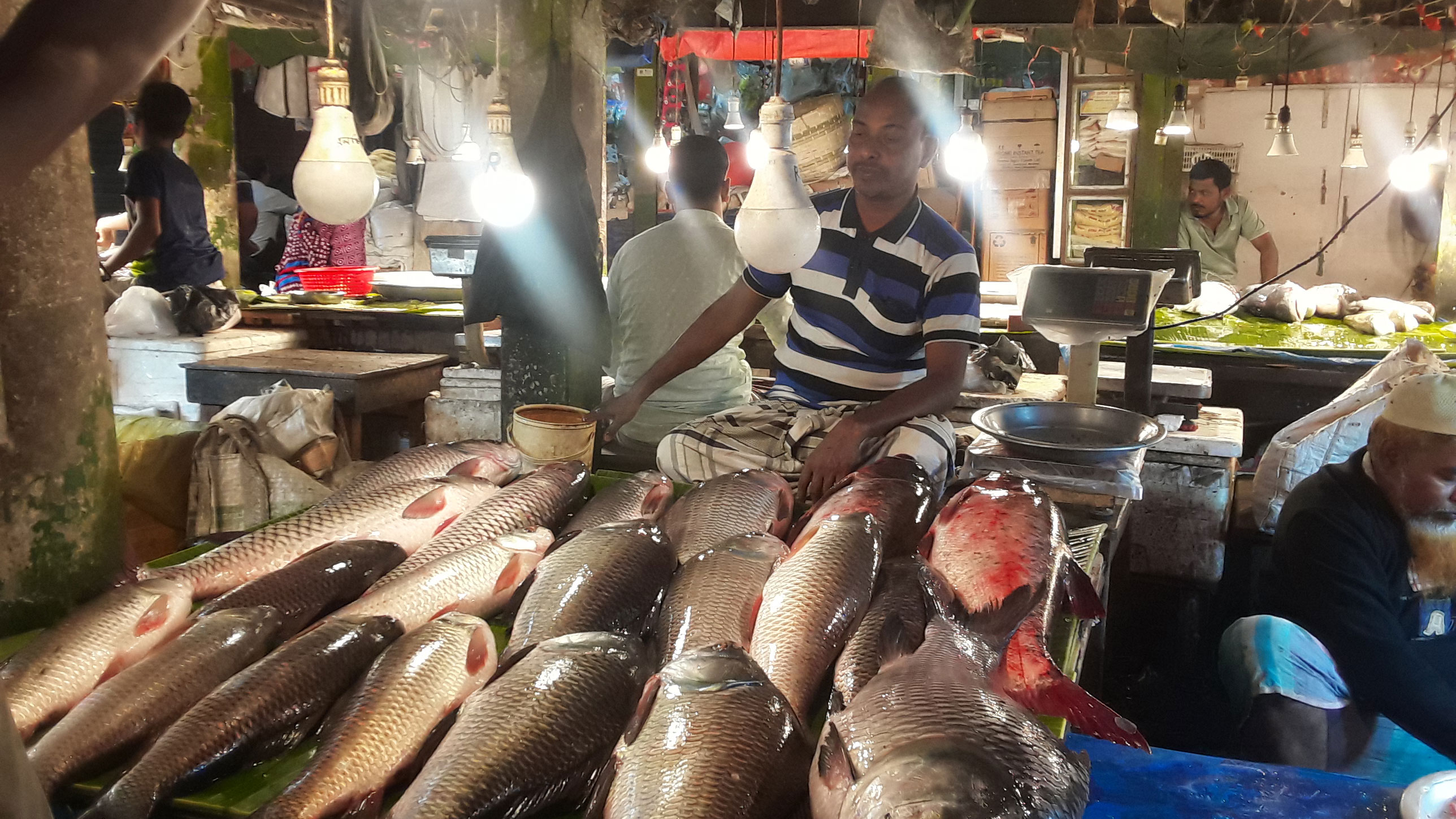 নতুন ও পুরাতন আলুর দামের পার্থক্য ২৭৫ টাকা