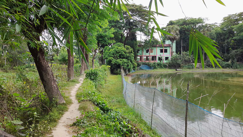 ভয়ে ভয়ে বিদ্যালয়ে যাতায়াত