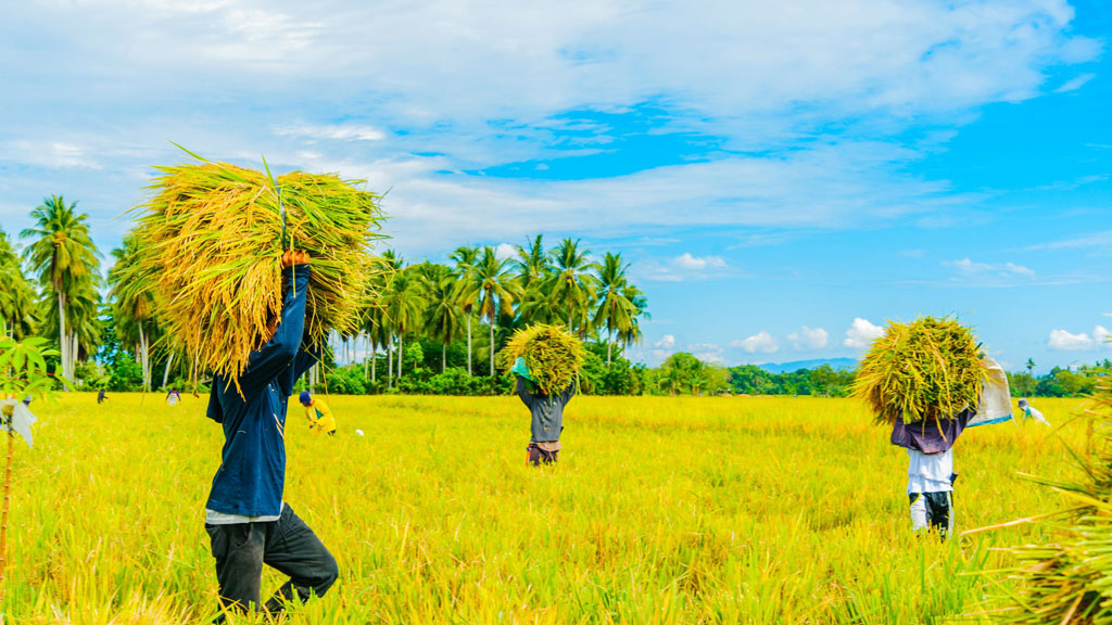 কৃষিকাজে উৎসাহ দেয় ইসলাম