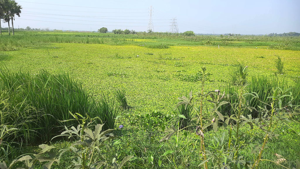 ভূমির ন্যায্যমূল্যের দাবি