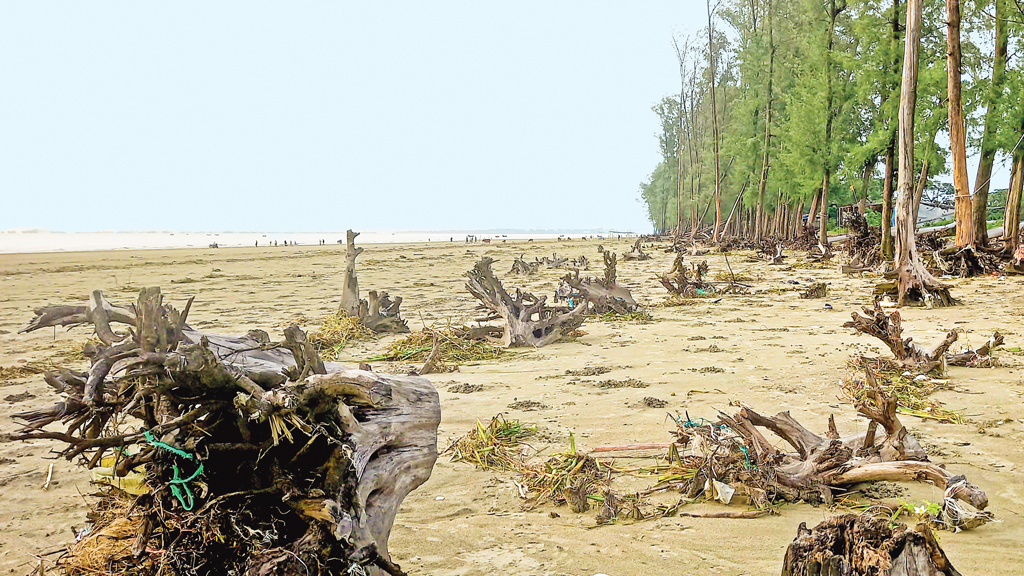 পর্যটন খাতের বিকাশে মহাপরিকল্পনা করতেই সাড়ে তিন বছর পার