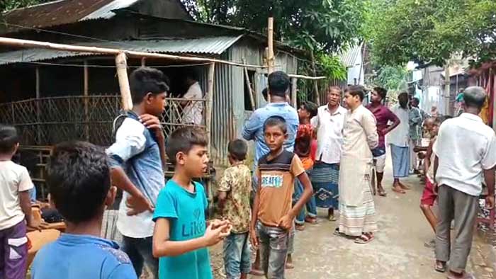 ভিমরুলের কামড়ে প্রাণ গেল বৃদ্ধ দম্পতির