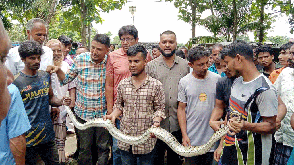 কমলগঞ্জে লোকালয় থেকে উদ্ধার করা অজগর ছাড়া হলো বনে