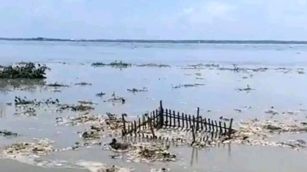 চৌহালীতে নদী ভাঙনের কবলে কবরস্থান, ভেসে যাচ্ছে মরদেহ