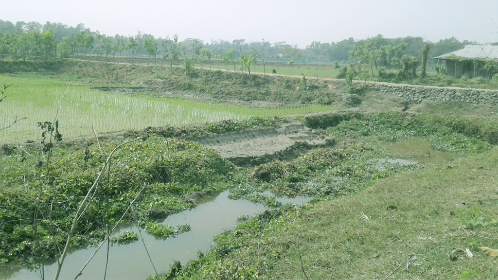 যে রাস্তায় কৃষকের ‘অপকারই বেশি’