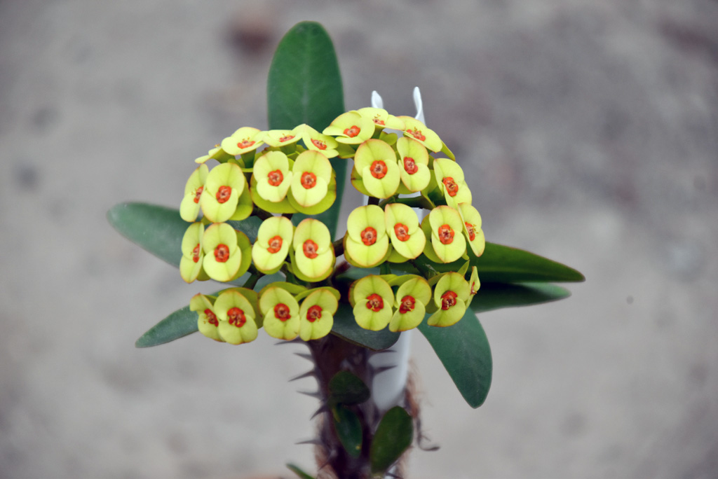 দিনের ছবি (১৩ এপ্রিল, ২০২৪)